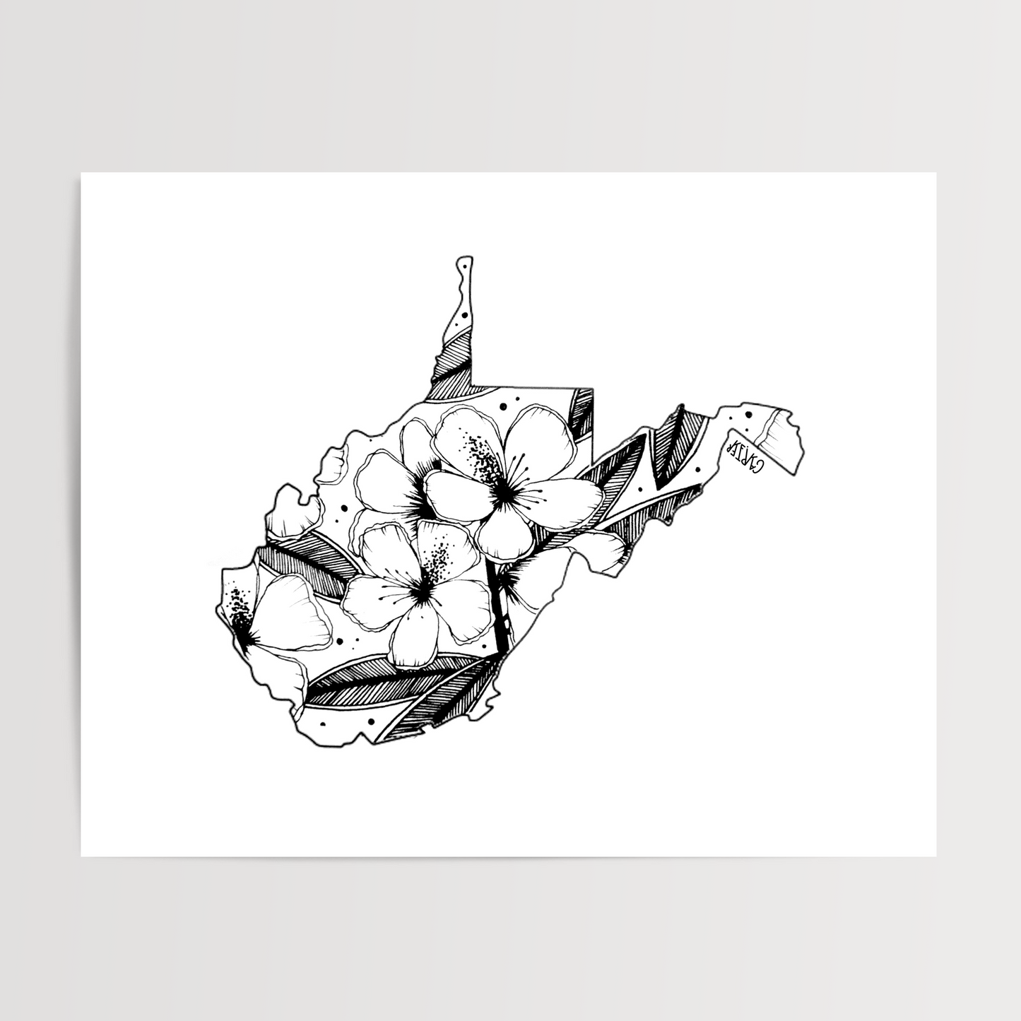West Virginia - Rhododendron State Flower Print