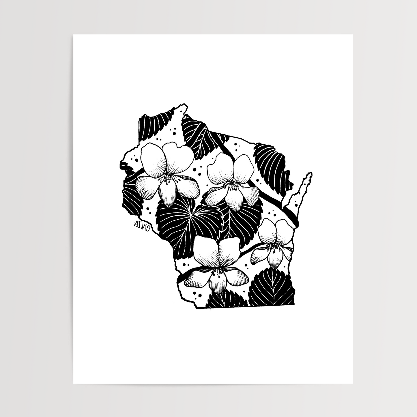 Wisconsin - Wood Violet State Flower Print