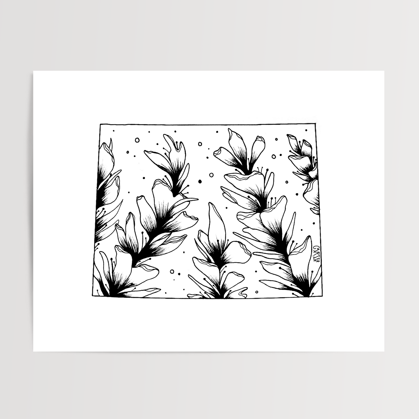 Wyoming - Indian Paintbrush State Flower Print