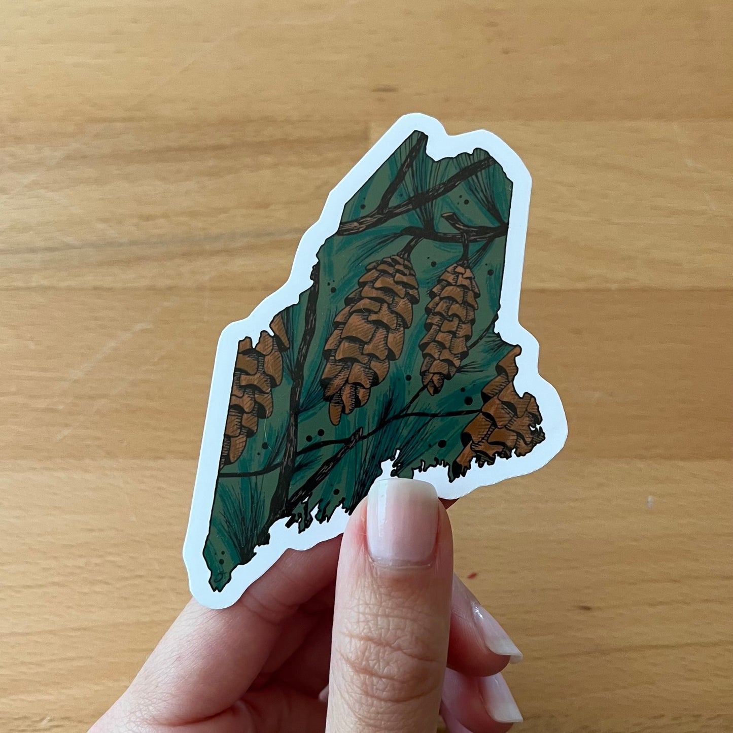 Maine State Flower Sticker