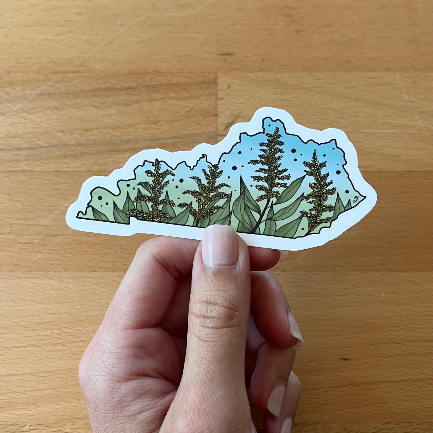 Kentucky State Flower Sticker