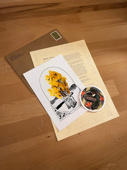 February Mail Club Catch Up