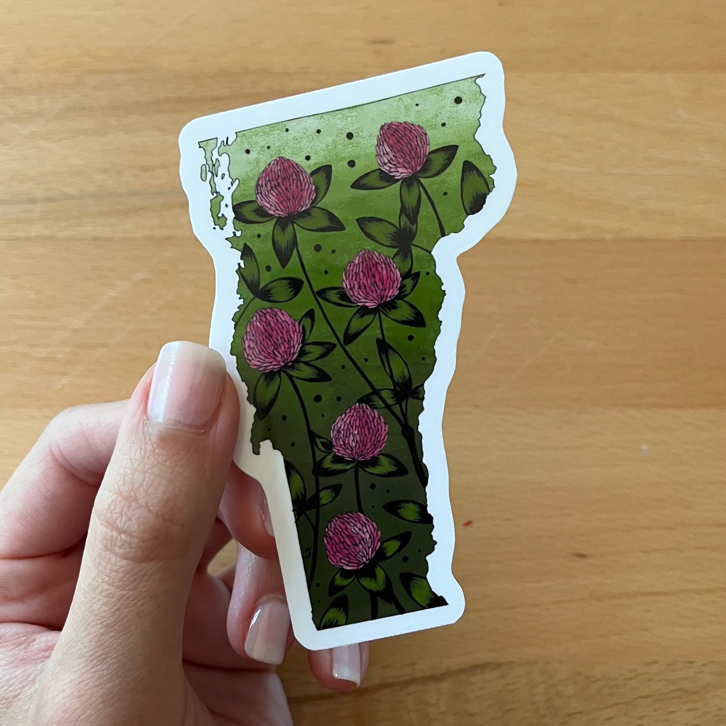 Vermont State Flower Sticker