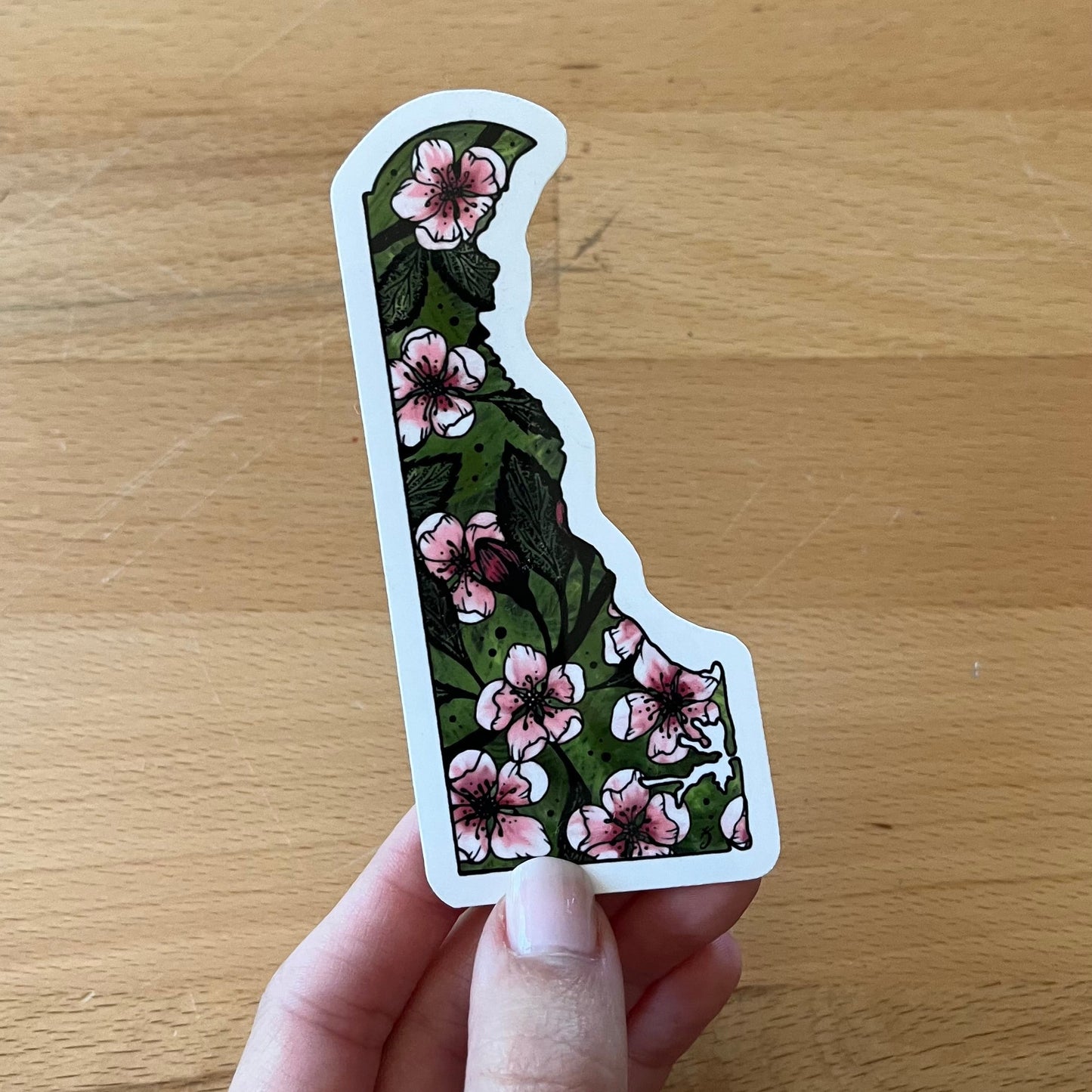Delaware State Flower Sticker
