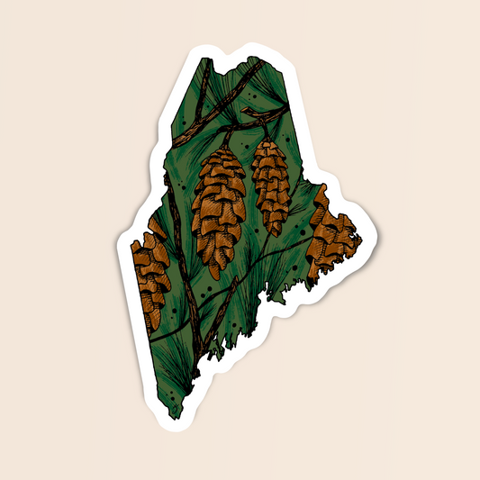 Maine State Flower Sticker