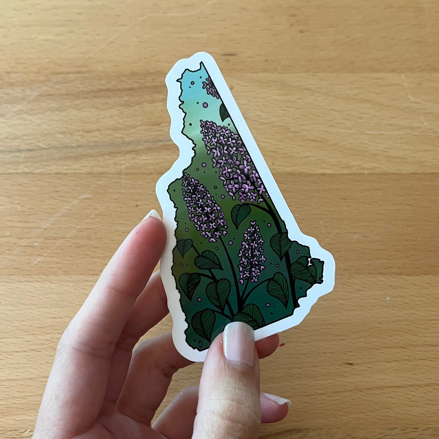 New Hampshire State Flower Sticker
