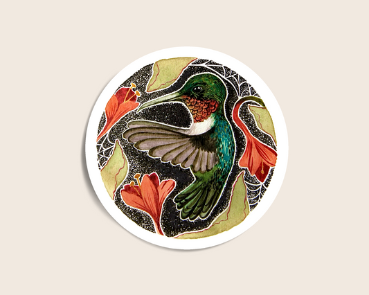 Ruby Throated Humming Bird Sticker