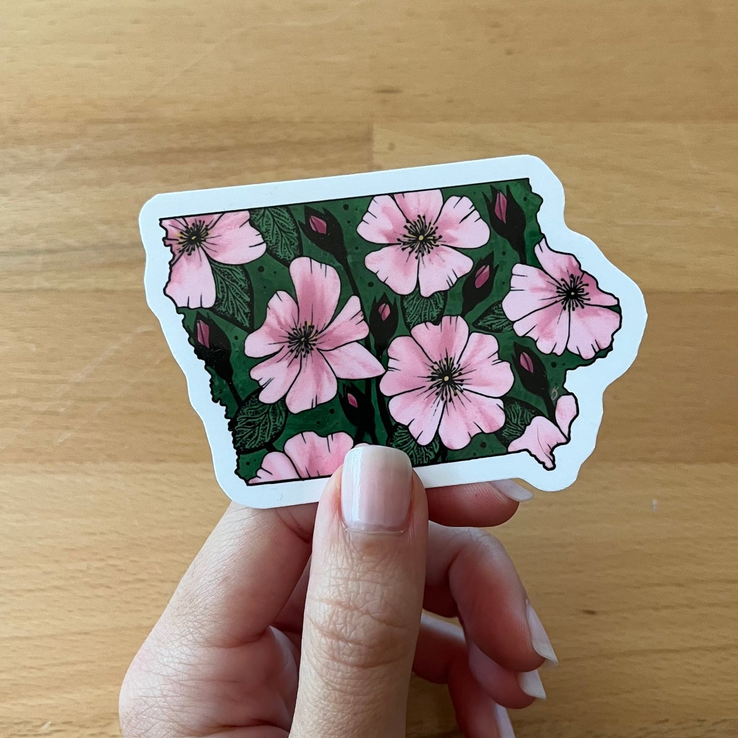 Iowa State Flower Sticker