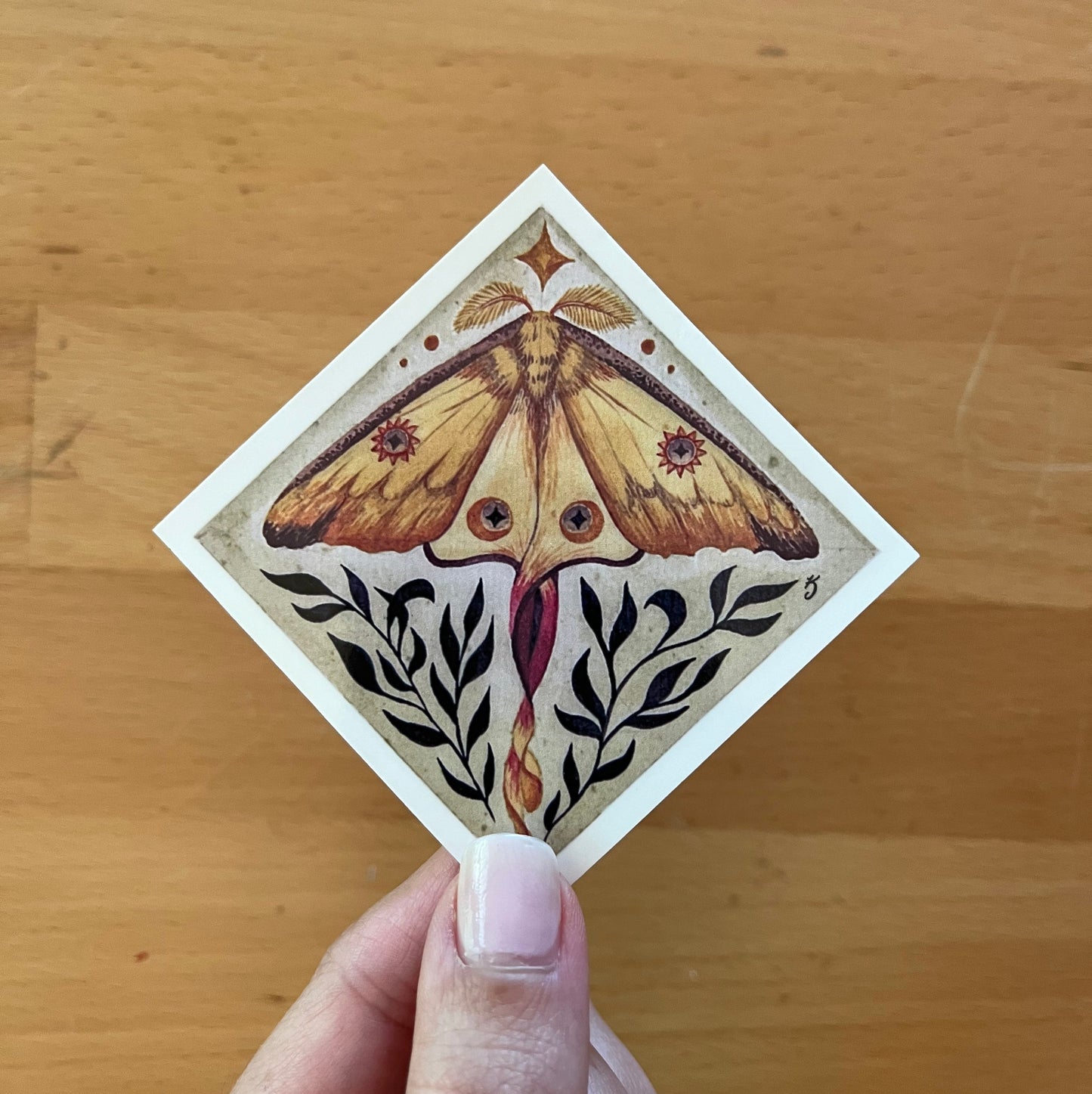 Comet Moth Sticker