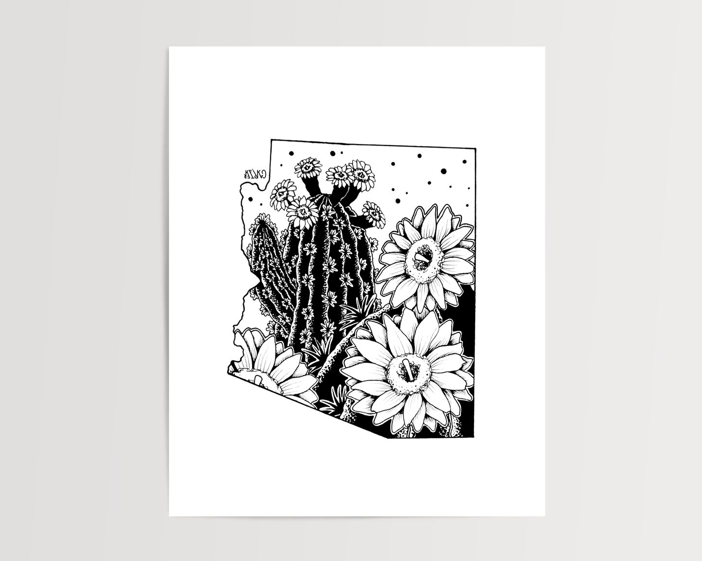 Arizona - Sagauro Cactus Blossom State Flower Print