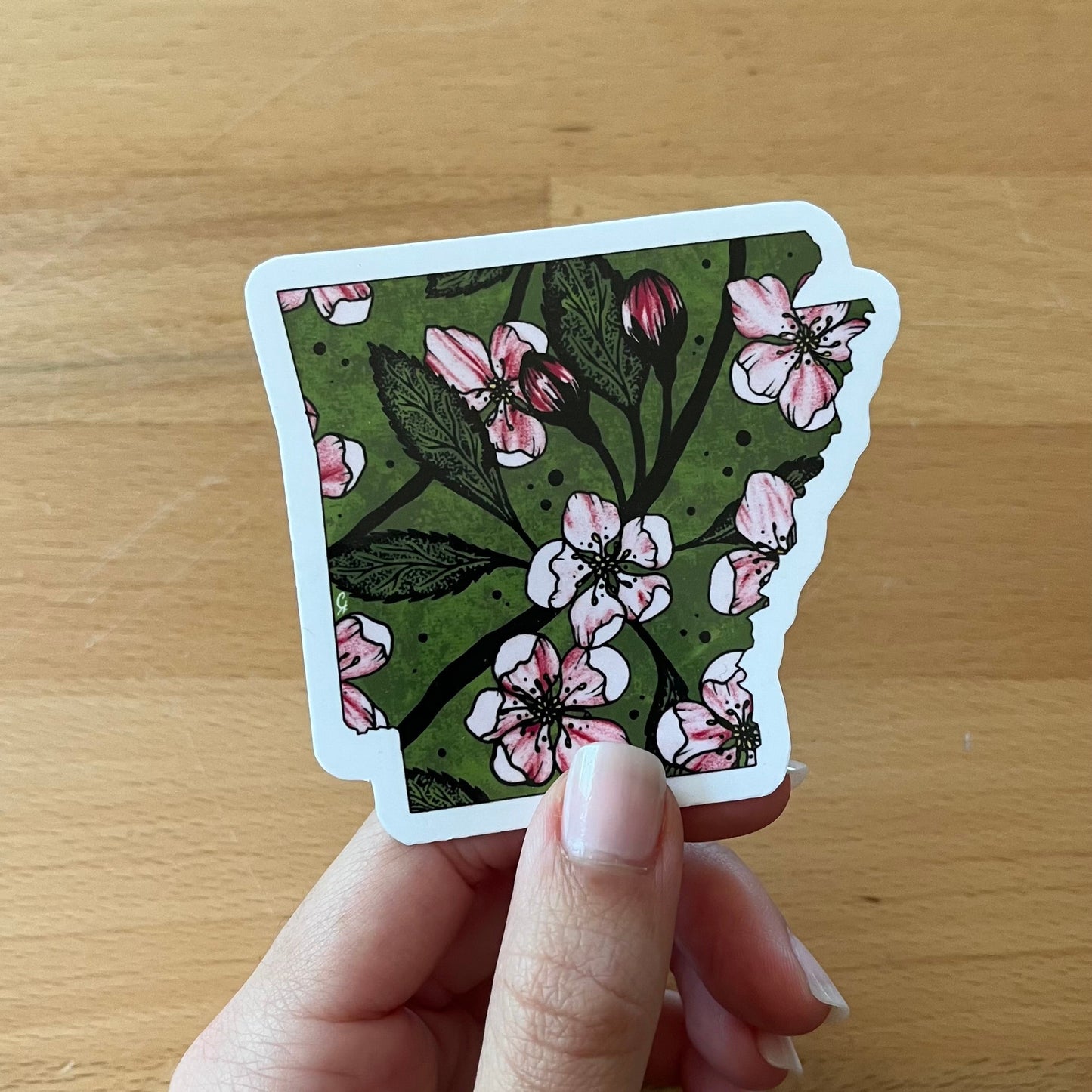 Arkansas State Flower Sticker