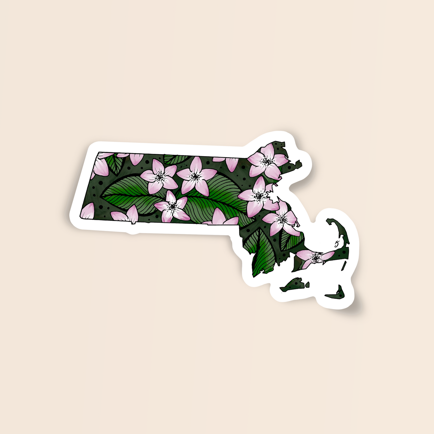 Massachusetts State Flower Sticker