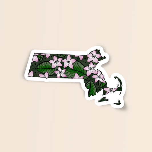 Massachusetts State Flower Sticker