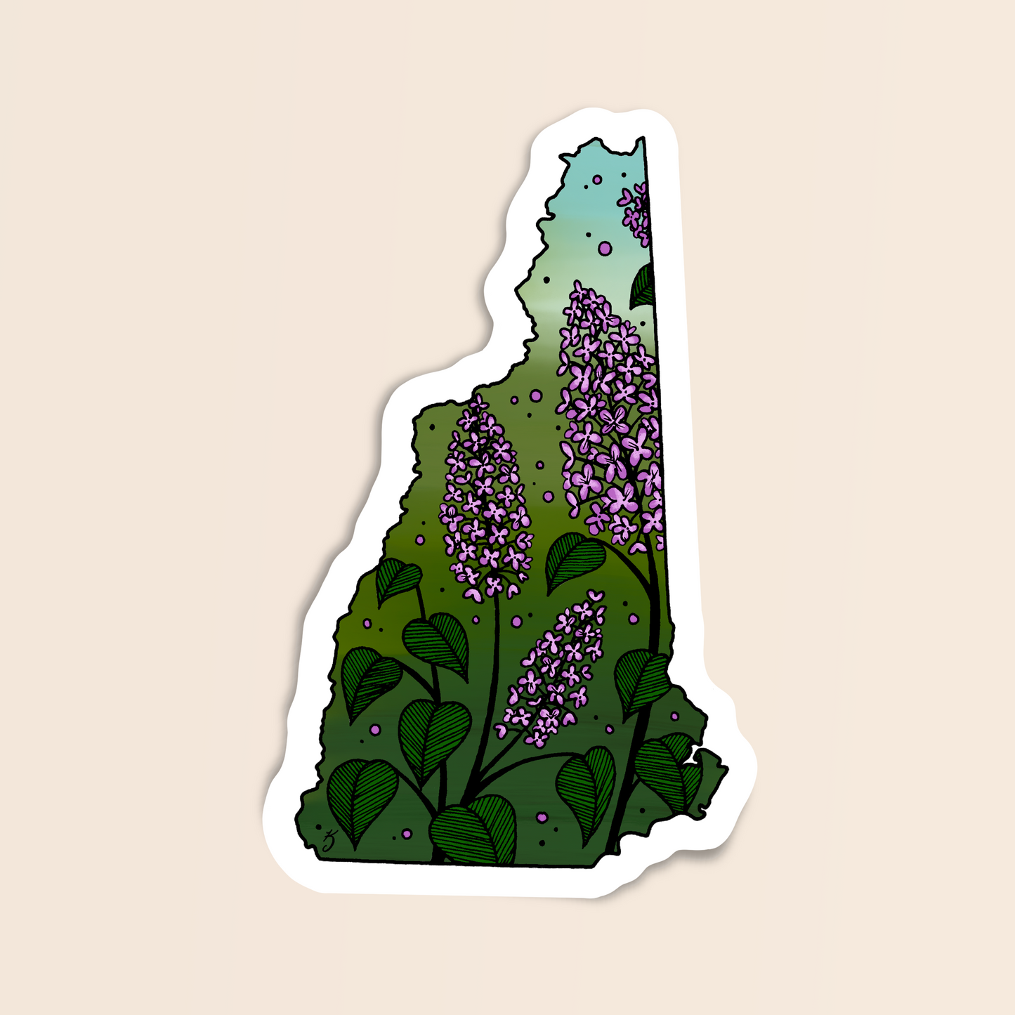 New Hampshire State Flower Sticker