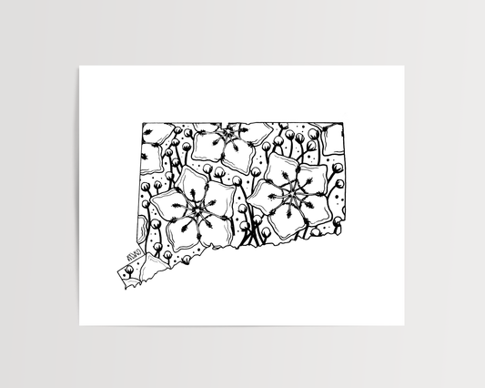 Connecticut - Mountain Laurel State Flower Print