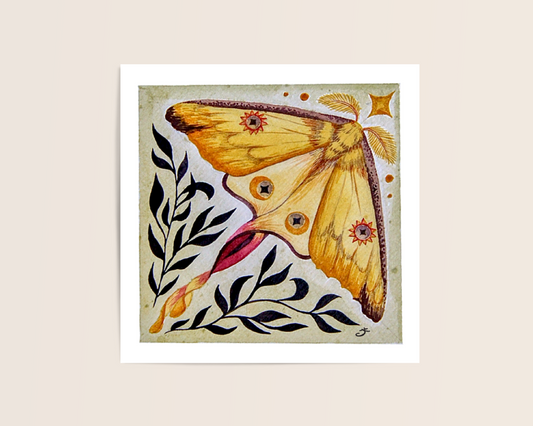Comet Moth Sticker