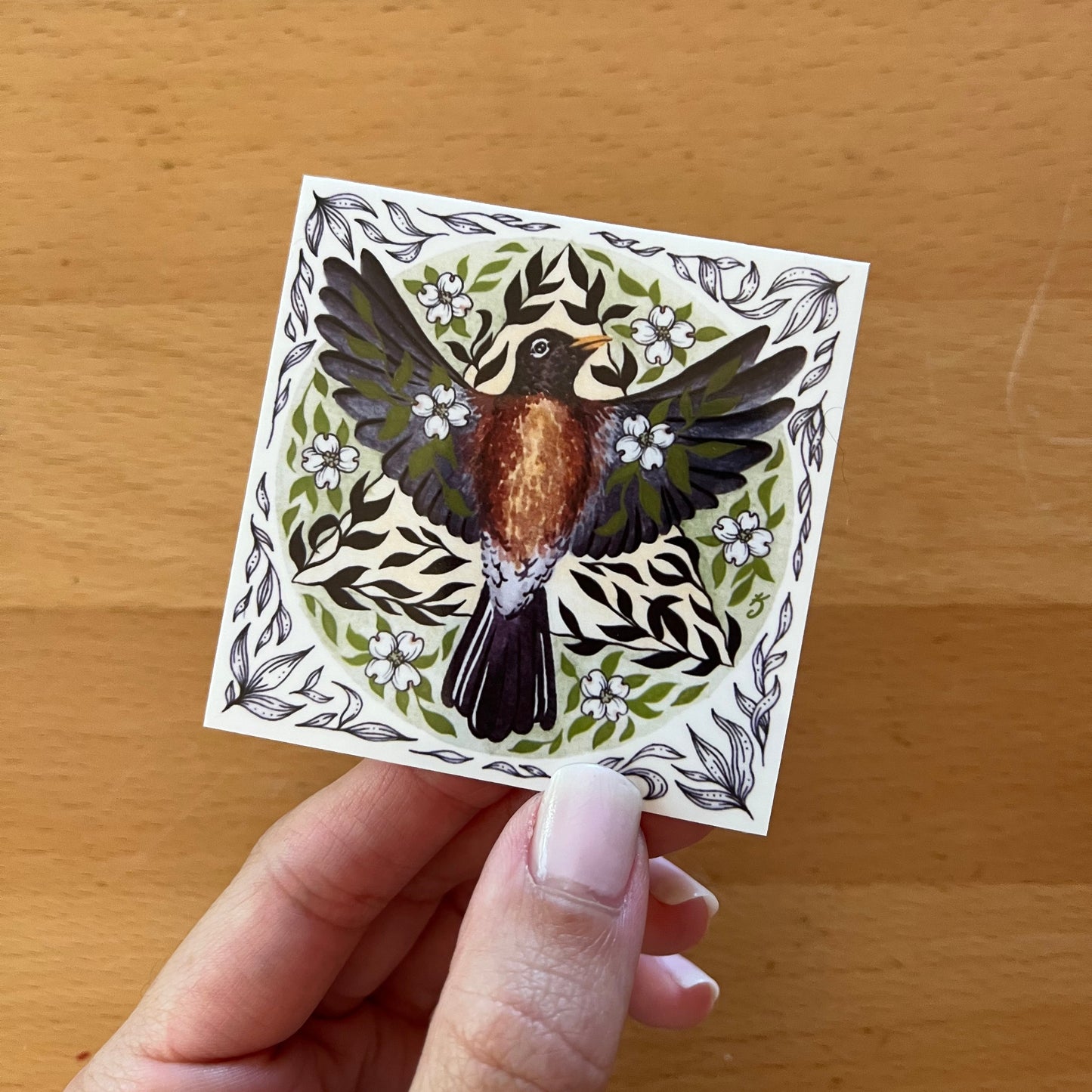 American Robin Sticker