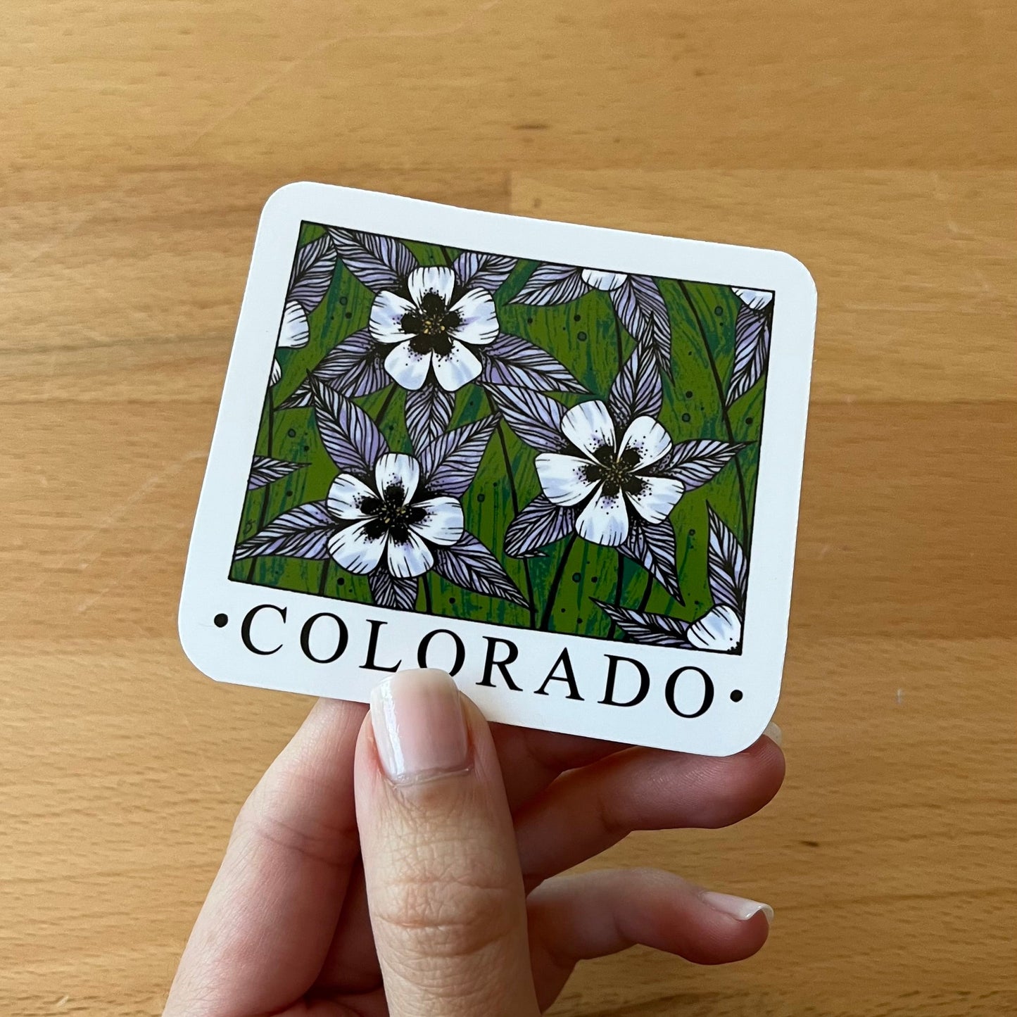 Colorado State Flower Sticker
