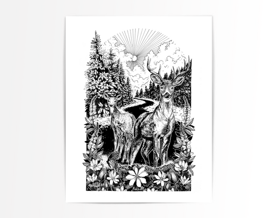 White Tailed Deer Family Print