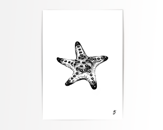 Red Horned Starfish Art Print