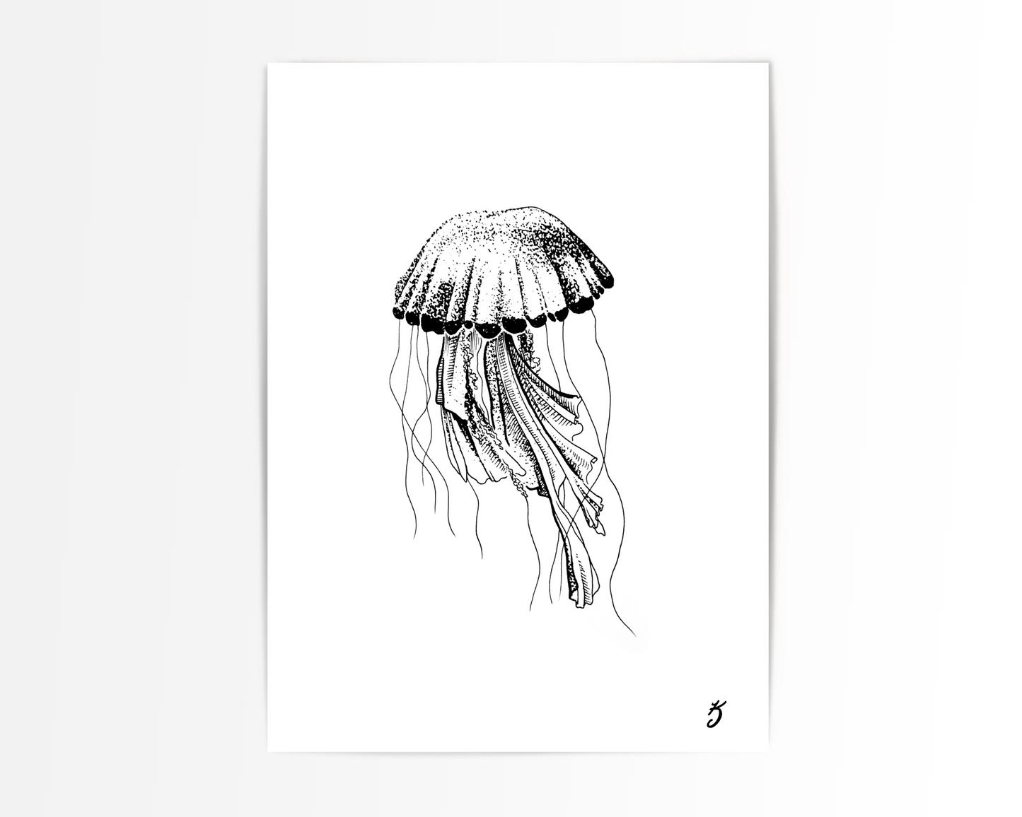 Compass Jellyfish Art Print