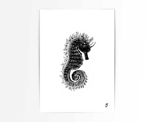 Spiny Seahorse Art Print