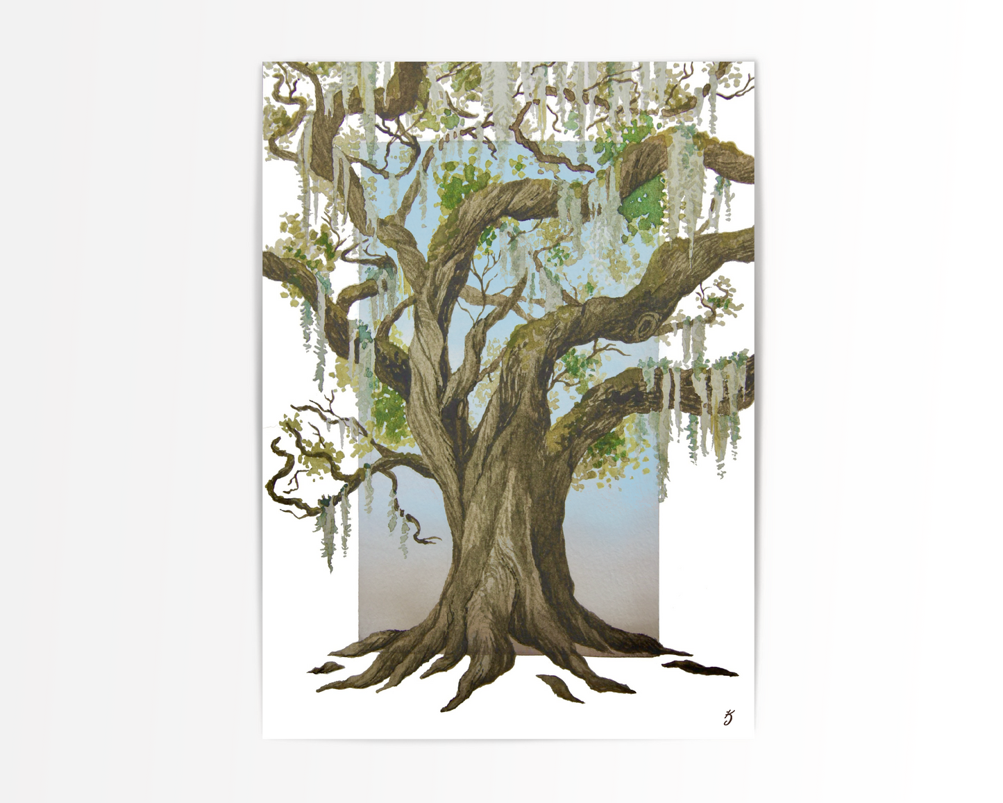 Live Oak Art Print