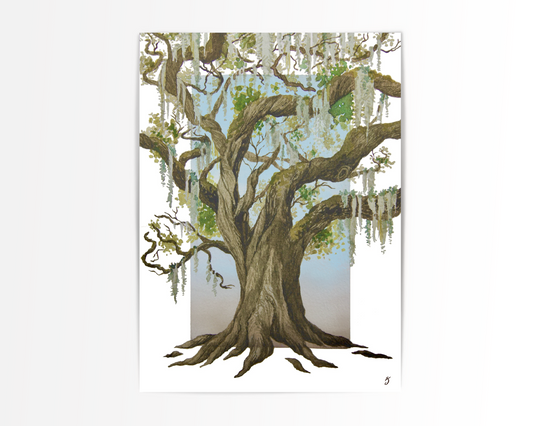 Live Oak Art Print