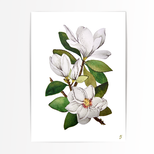 Magnolia’s Art Print