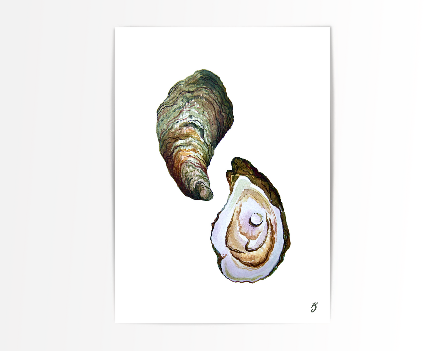 Oysters Art Print