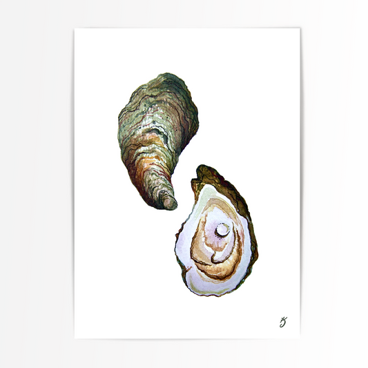 Oysters Art Print