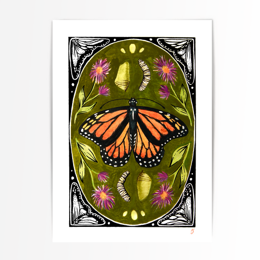 Life of the Monarch Butterfly Art Print