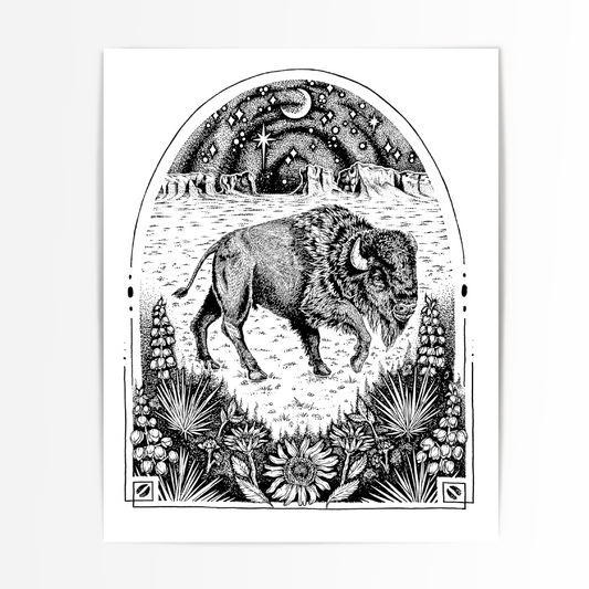 Monument Bison Art Print