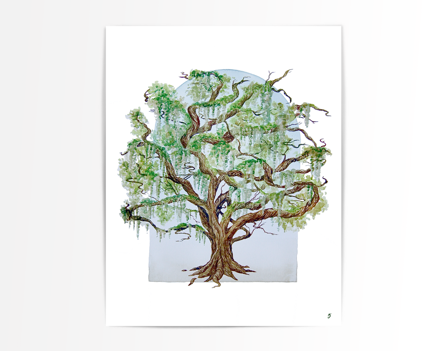 Live Oak & Spanish Moss Art Print