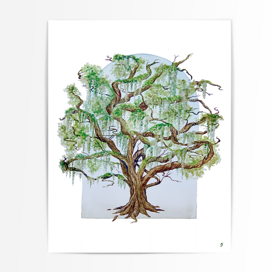 Live Oak & Spanish Moss Art Print