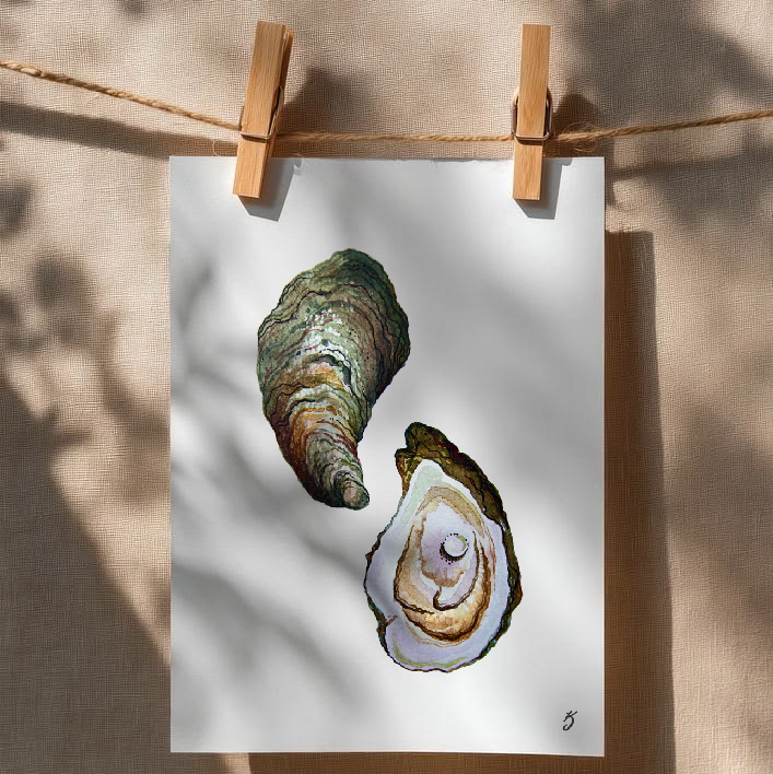 Oysters Art Print