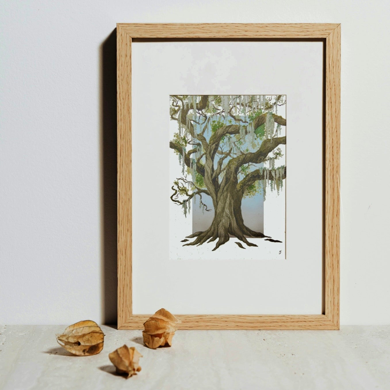 Live Oak Art Print