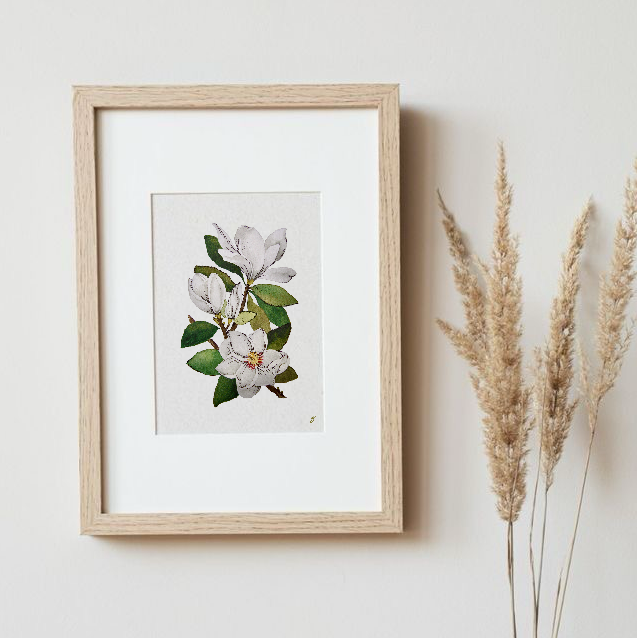 Magnolia’s Art Print