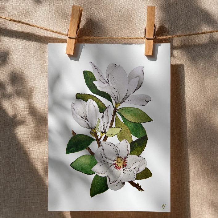 Magnolia’s Art Print