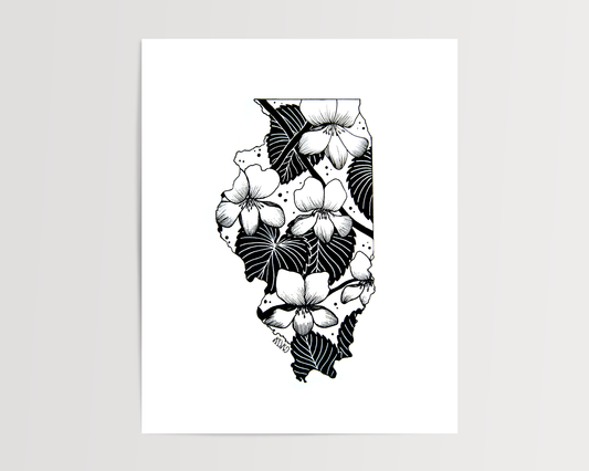 Illinois - Violet State Flower Print