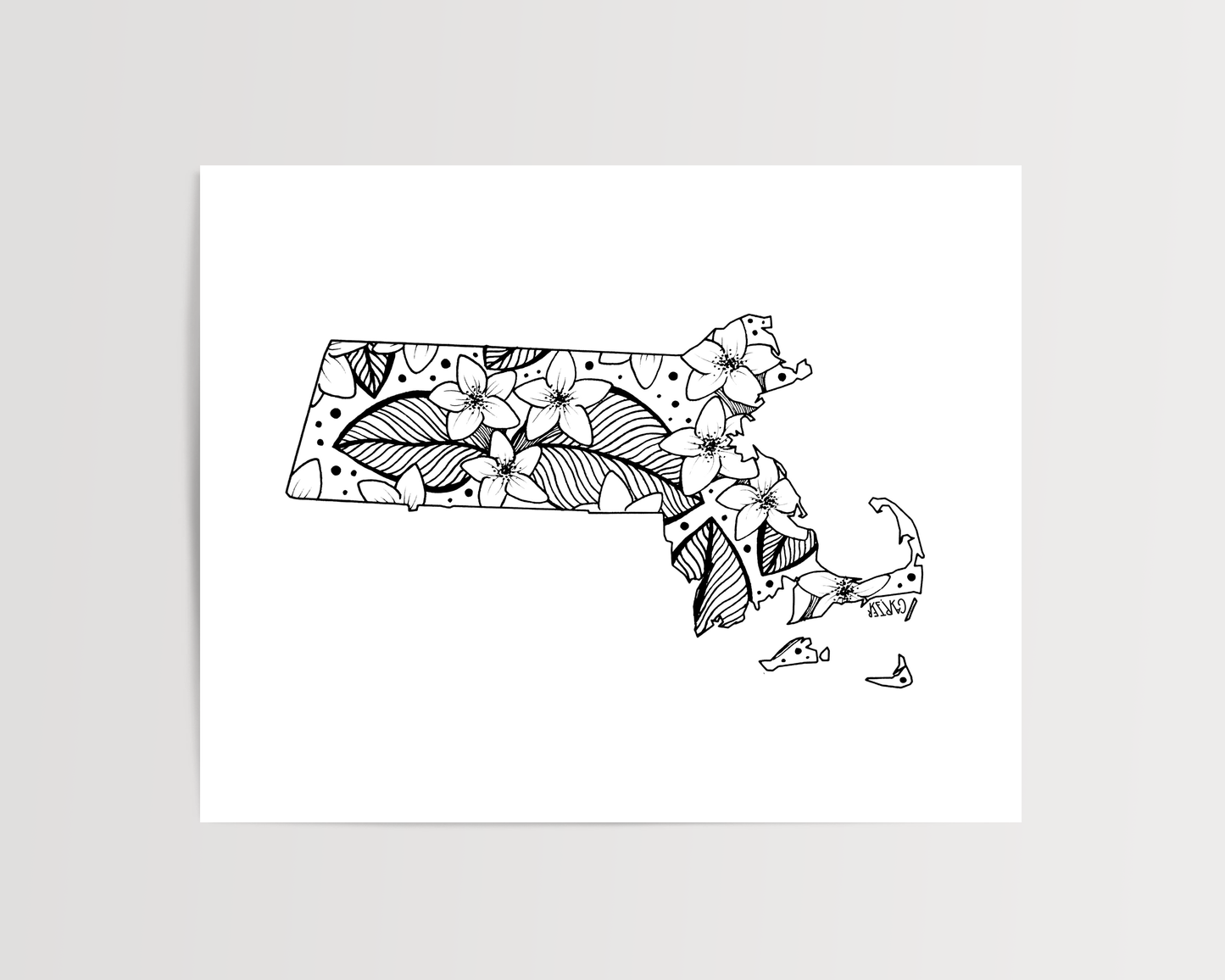 Massachusetts - Mayflower State Flower Print