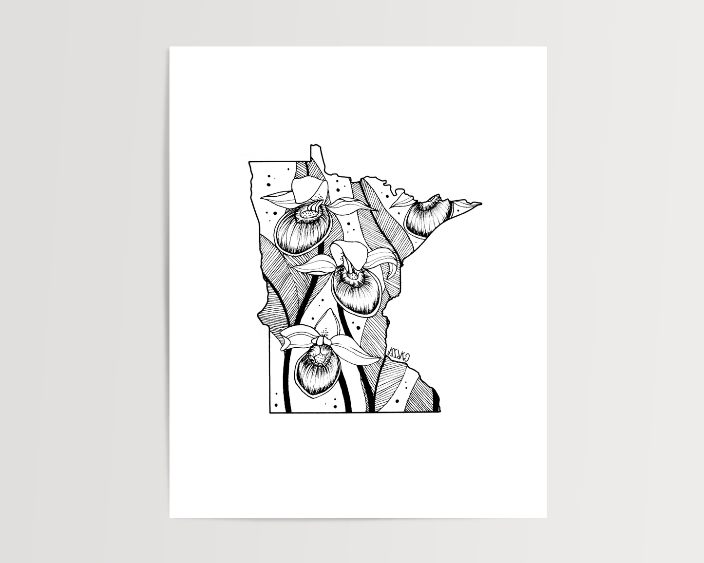 Minnesota - Pink and White Lady's Slipper State Flower Print