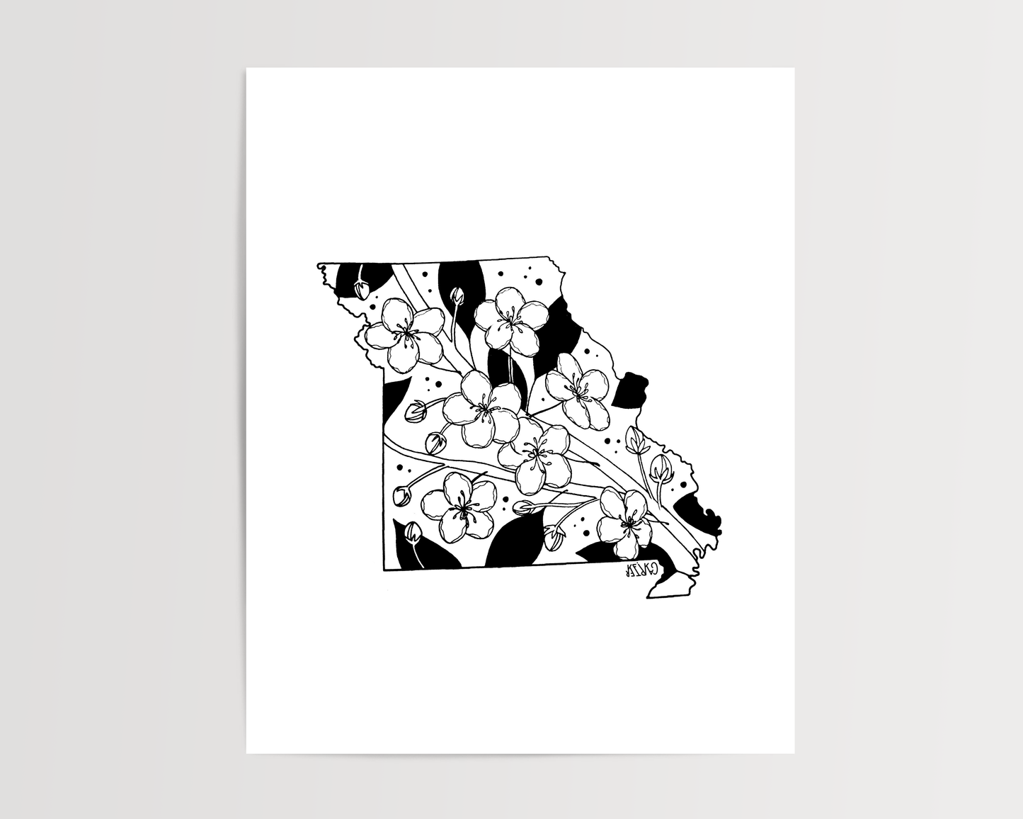 Missouri - Hawthorn State Flower Print