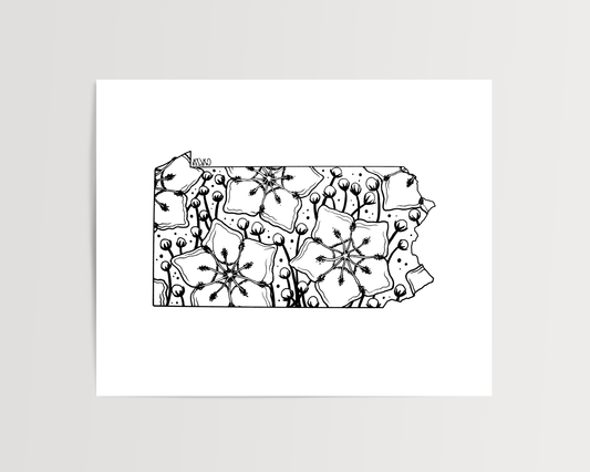 Pennsylvania - Mountain Laurel State Flower Print