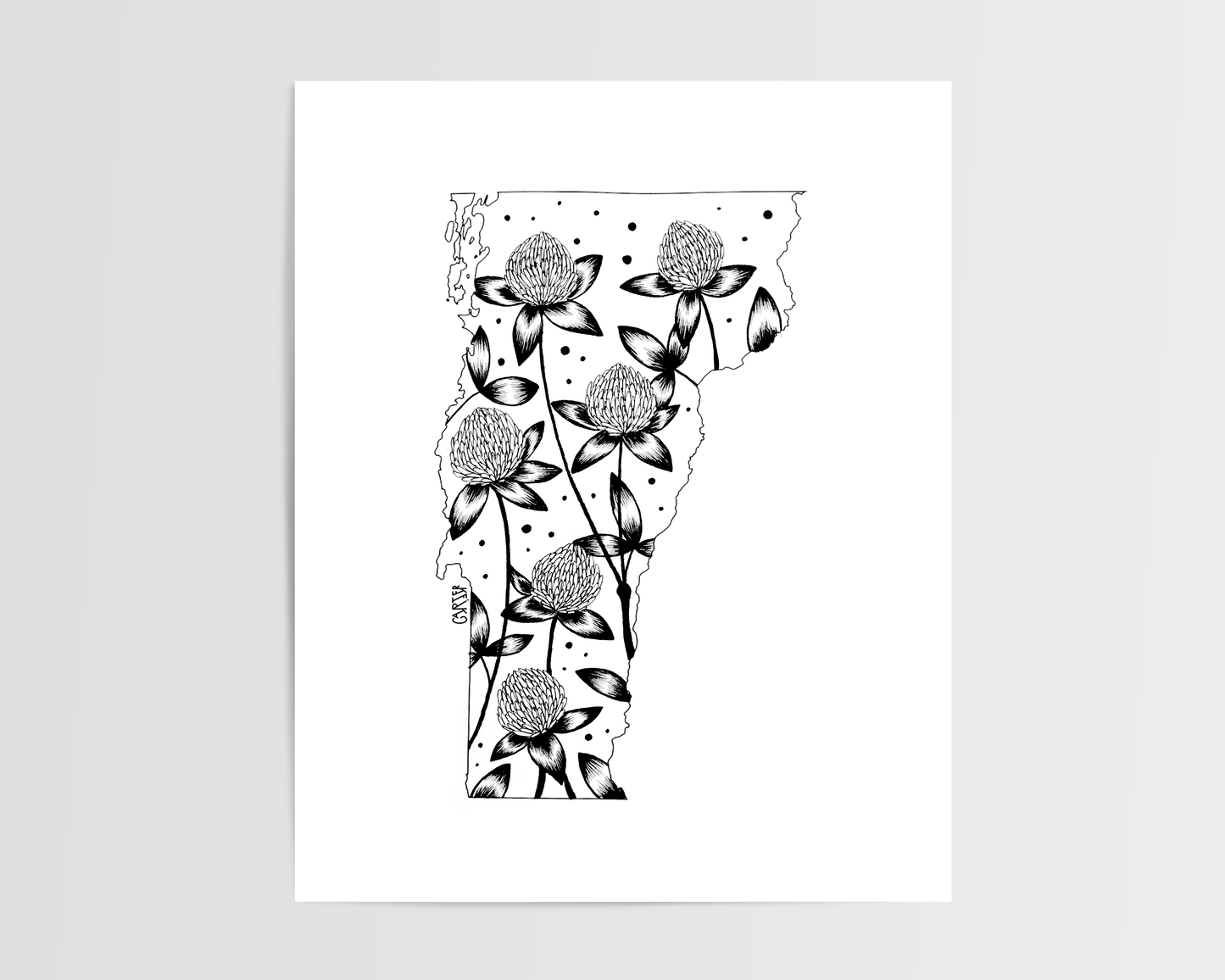Vermont - Red Clover State Flower Print