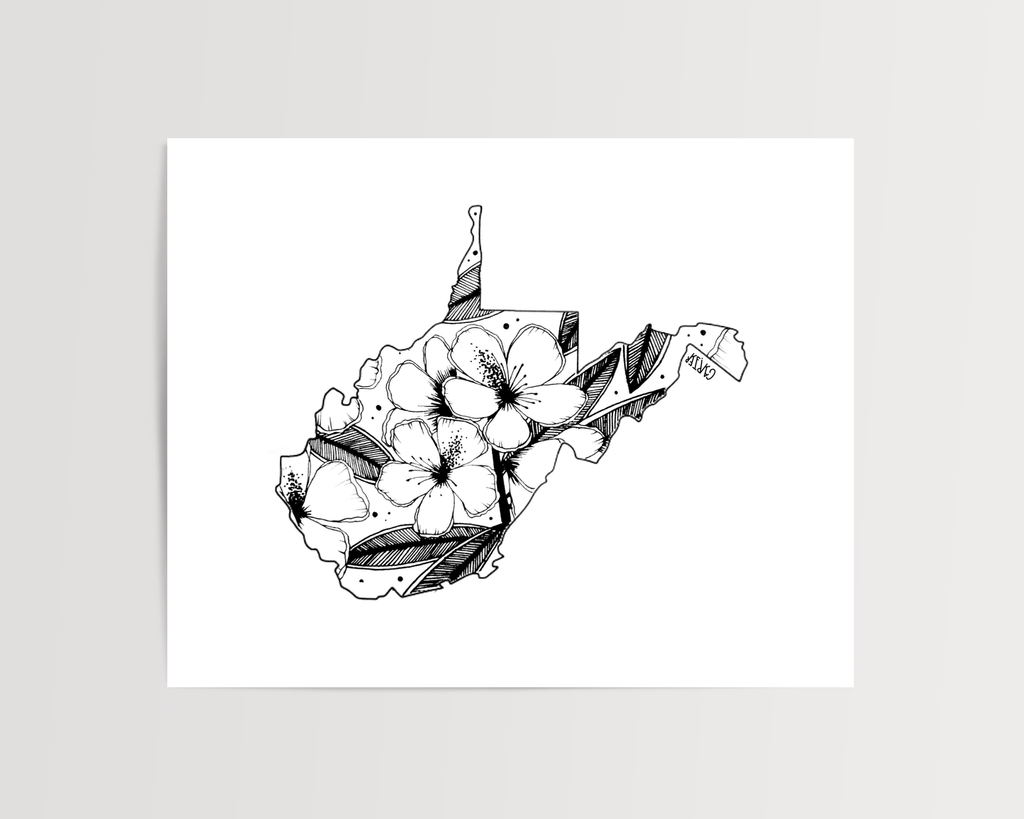 West Virginia - Rhododendron State Flower Print