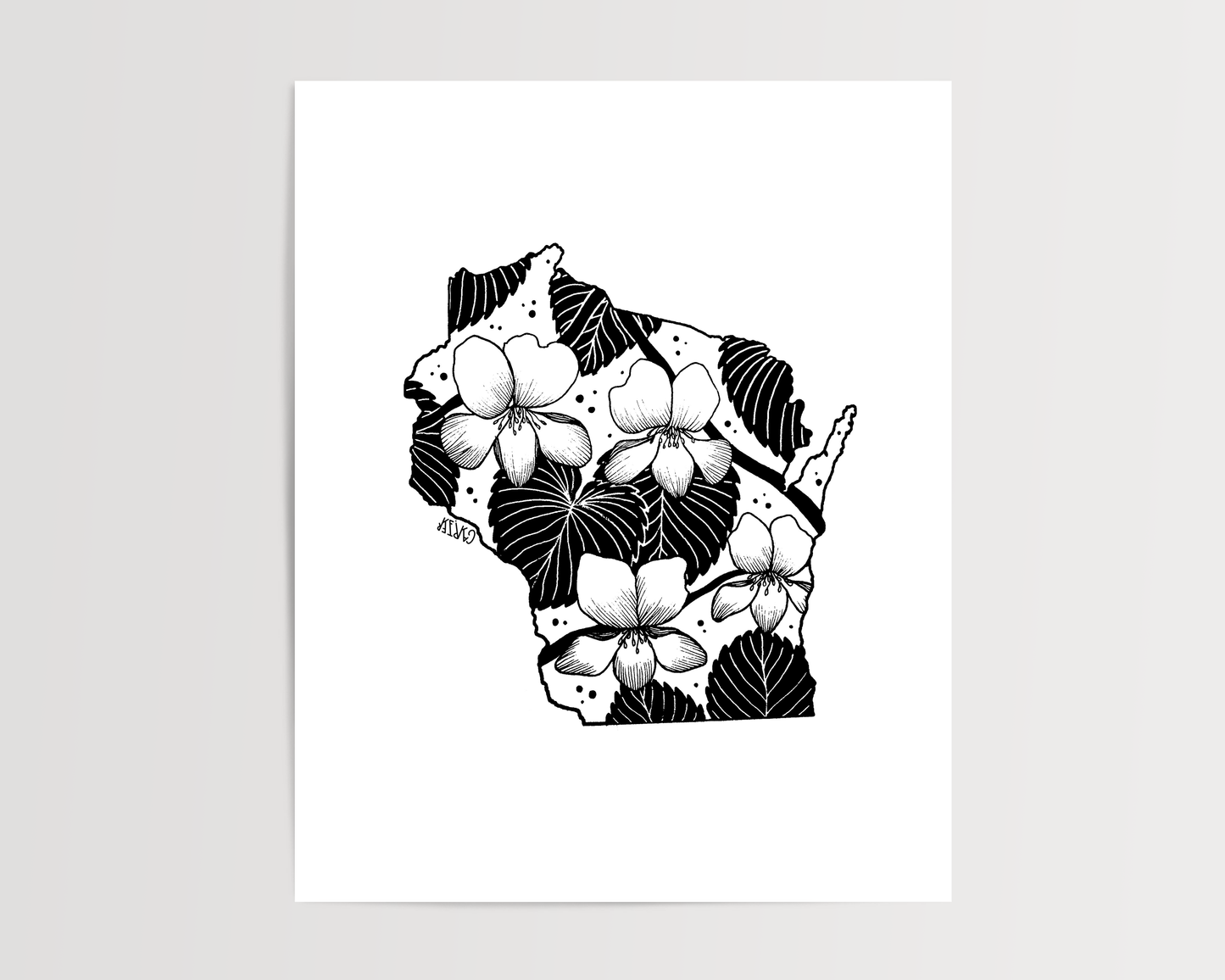Wisconsin - Wood Violet State Flower Print