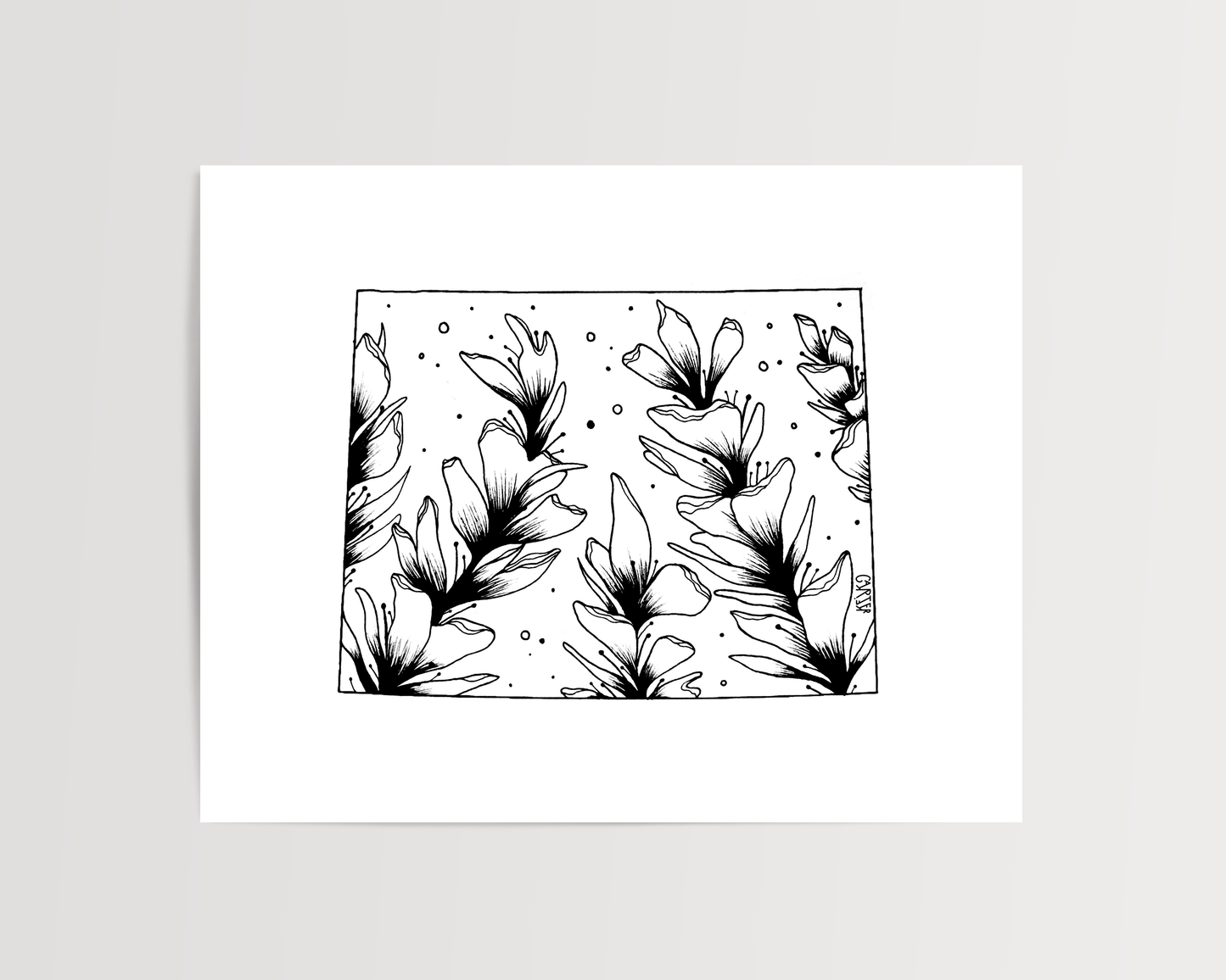 Wyoming - Indian Paintbrush State Flower Print